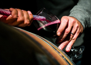 Binyamina Reserve Wine
