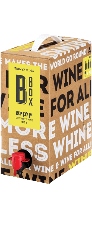 B-BOX - White