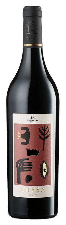 Sheba Merlot