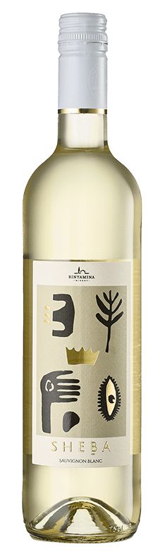 Sheba Sauvignon Blanc