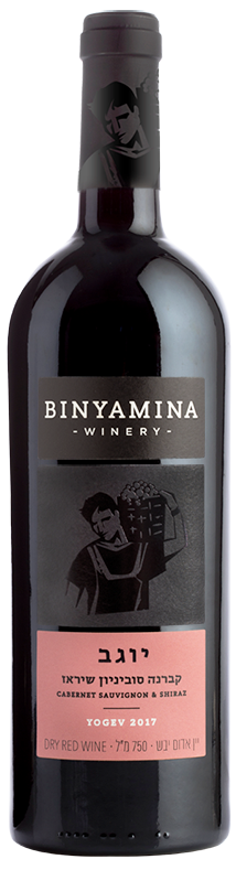Cabernet Sauvignon Shiraz